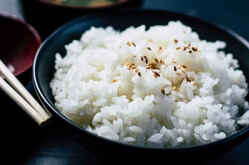 modal-usaha-rice-bowl